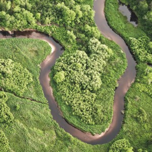 CRD_Landscape_Summer (22)_Page_22