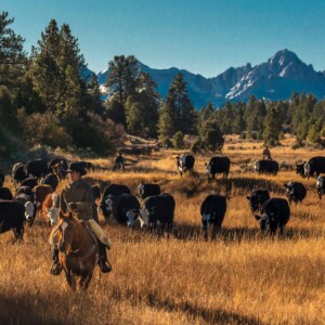 CRD_Agriculture_Fall (2)_Page_05