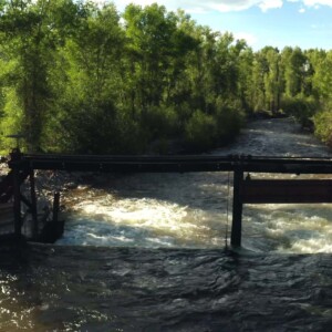 CRD_Agriculture_Fall (2)_Page_07