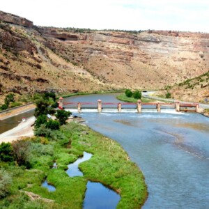 CRD_Agriculture_Fall (2)_Page_10