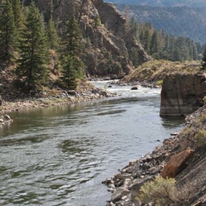 CRD_Landscape_Summer (22)_Page_04