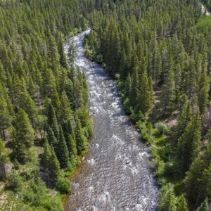 CRD_Landscape_Summer (22)_Page_12