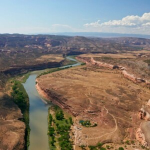 CRD_Landscape_Summer (22)_Page_18